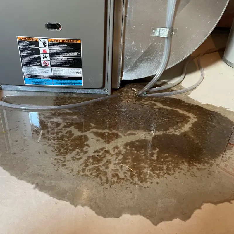 Appliance Leak Cleanup in Goldsboro, NC